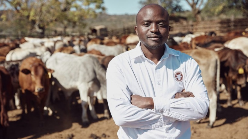 Livestock Wealth Liquidation Proceeds